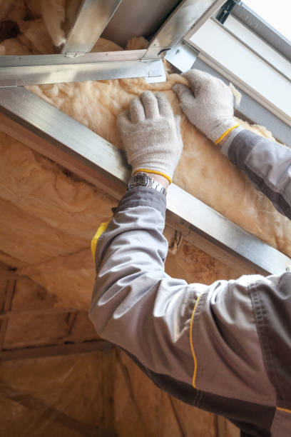 Best Insulation Inspection Services  in USA